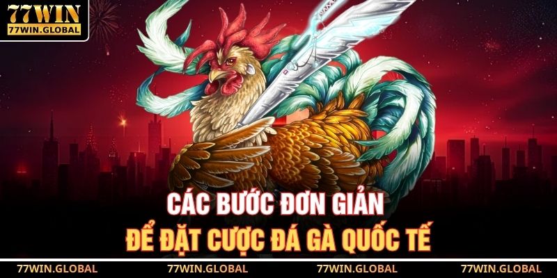 Các bước đơn giản để đặt cược đá gà quốc tế