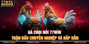 Gà Chọi Nòi 77WIN