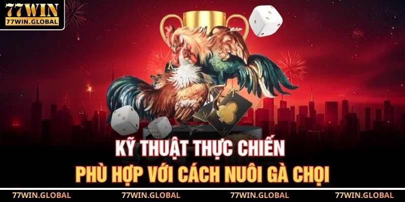 Kỹ thuật thực chiến phù hợp với cách nuôi gà chọi