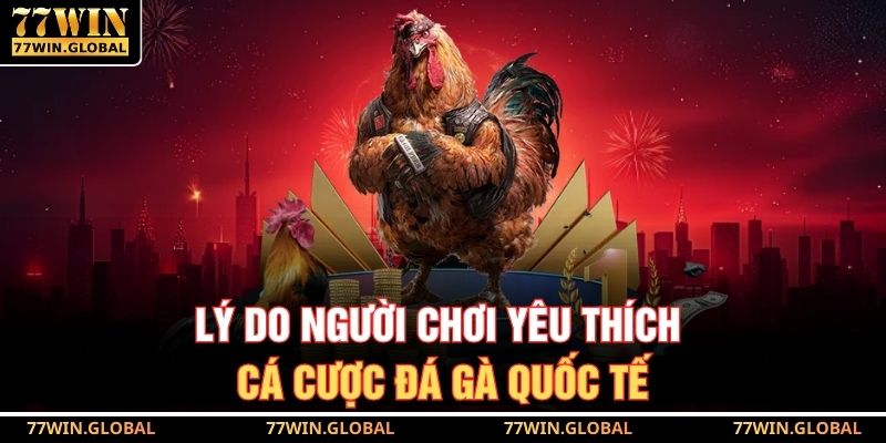 Lý do người chơi yêu thích cá cược đá gà quốc tế