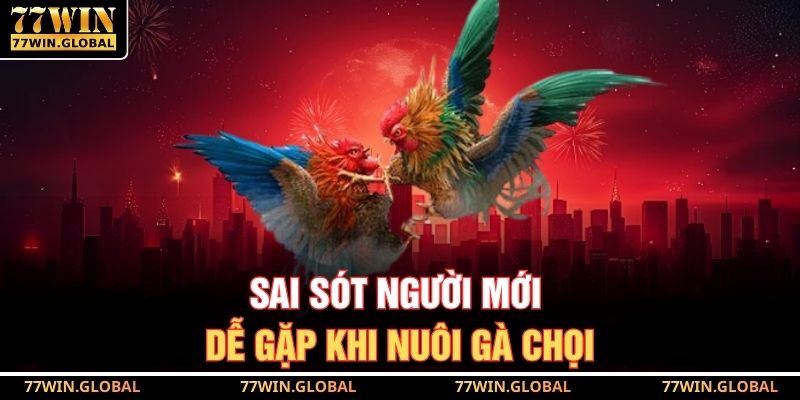 Sai sót người mới dễ gặp khi nuôi gà chọi