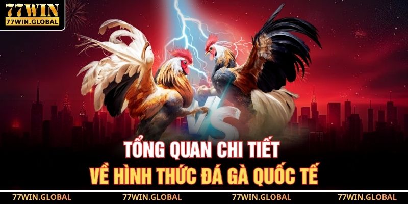 Tổng quan chi tiết về hình thức đá gà quốc tế